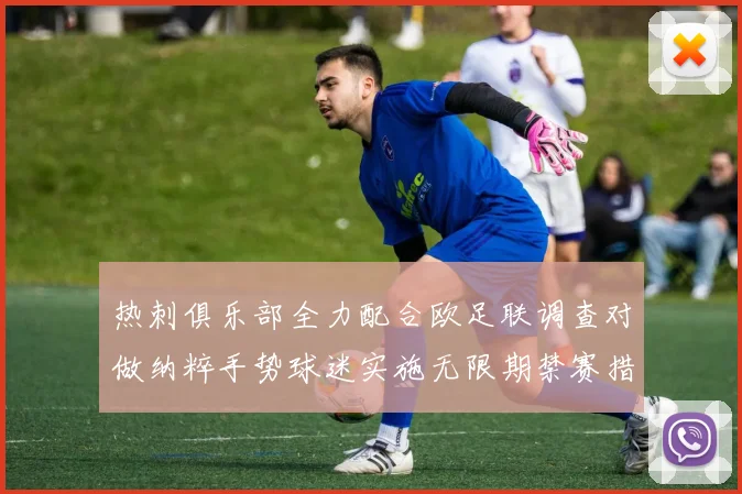 热刺俱乐部全力配合欧足联调查对做纳粹手势球迷实施无限期禁赛措施